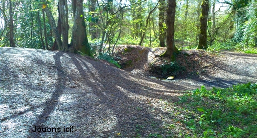 Bois de Champagne.jpg