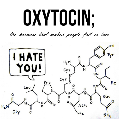ocytocine.png